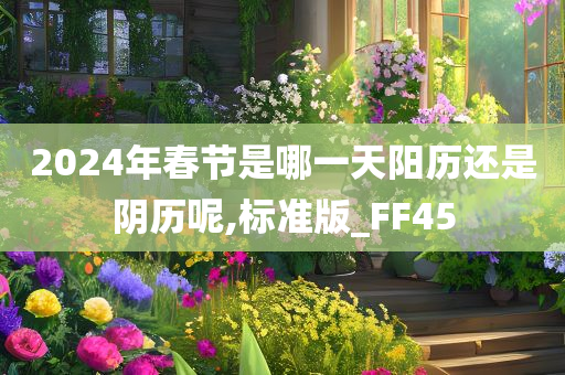 2024年春节是哪一天阳历还是阴历呢,标准版_FF45