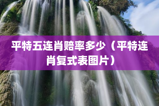 平特五连肖赔率多少（平特连肖复式表图片）