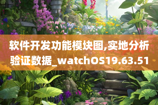 软件开发功能模块图,实地分析验证数据_watchOS19.63.51