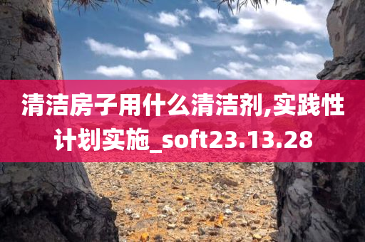 清洁房子用什么清洁剂,实践性计划实施_soft23.13.28