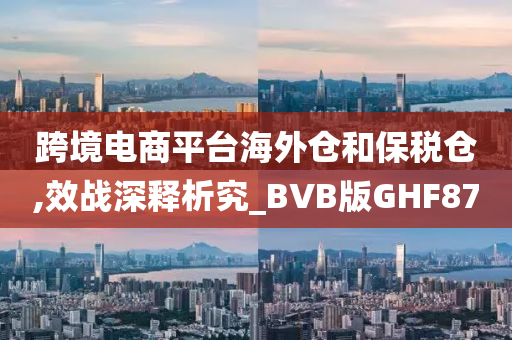 跨境电商平台海外仓和保税仓,效战深释析究_BVB版GHF87