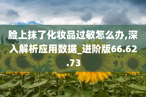 脸上抹了化妆品过敏怎么办,深入解析应用数据_进阶版66.62.73