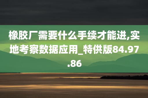 橡胶厂需要什么手续才能进,实地考察数据应用_特供版84.97.86