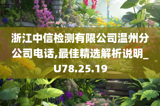 浙江中信检测有限公司温州分公司电话,最佳精选解析说明_U78.25.19