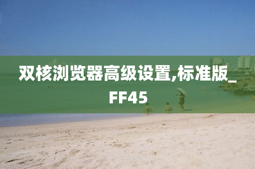 双核浏览器高级设置,标准版_FF45