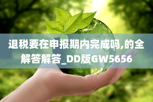 退税要在申报期内完成吗,的全解答解答_DD版GW5656