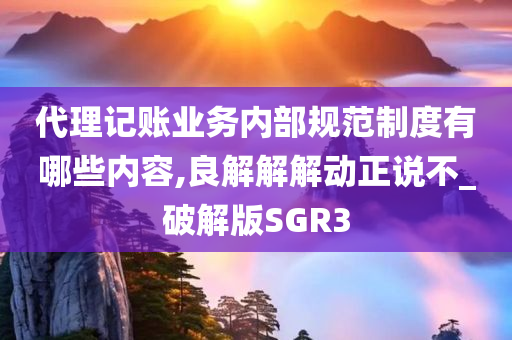 代理记账业务内部规范制度有哪些内容,良解解解动正说不_破解版SGR3