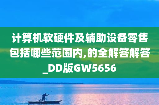 计算机软硬件及辅助设备零售包括哪些范围内,的全解答解答_DD版GW5656