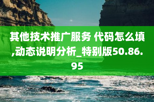 其他技术推广服务 代码怎么填,动态说明分析_特别版50.86.95