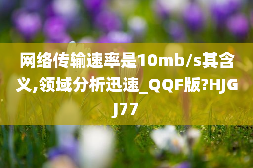 网络传输速率是10mb/s其含义,领域分析迅速_QQF版?HJGJ77