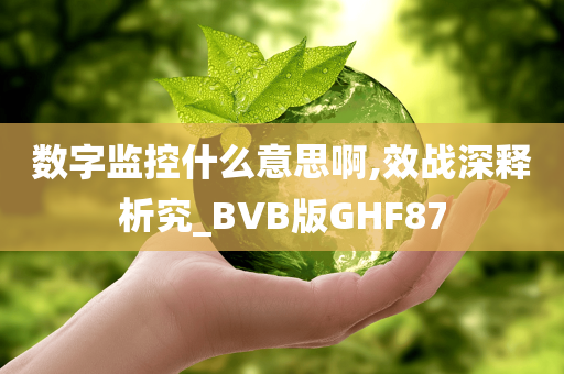 数字监控什么意思啊,效战深释析究_BVB版GHF87