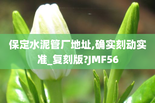 保定水泥管厂地址,确实刻动实准_复刻版?JMF56