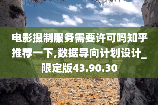 电影摄制服务需要许可吗知乎推荐一下,数据导向计划设计_限定版43.90.30