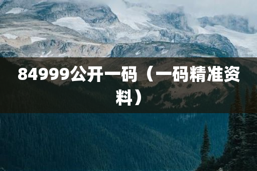 84999公开一码（一码精准资料）