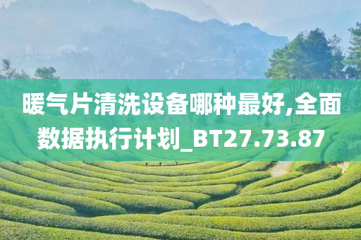 暖气片清洗设备哪种最好,全面数据执行计划_BT27.73.87