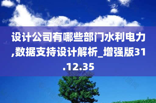 设计公司有哪些部门水利电力,数据支持设计解析_增强版31.12.35