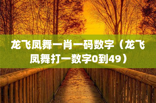 龙飞凤舞一肖一码数字（龙飞凤舞打一数字0到49）