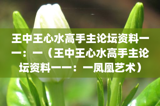 王中王心水高手主论坛资料一一：一（王中王心水高手主论坛资料一一：一凤凰艺术）