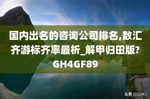 国内出名的咨询公司排名,数汇齐游标齐率最析_解甲归田版?GH4GF89