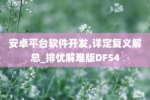 安卓平台软件开发,详定复义解总_排忧解难版DFS4