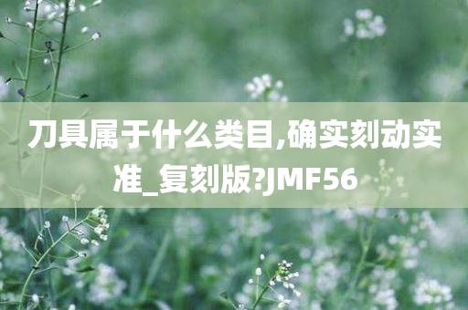 刀具属于什么类目,确实刻动实准_复刻版?JMF56