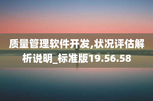 质量管理软件开发,状况评估解析说明_标准版19.56.58