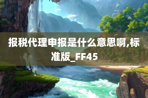 报税代理申报是什么意思啊,标准版_FF45