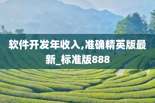 软件开发年收入,准确精英版最新_标准版888