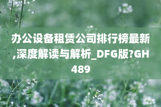 办公设备租赁公司排行榜最新,深度解读与解析_DFG版?GH489