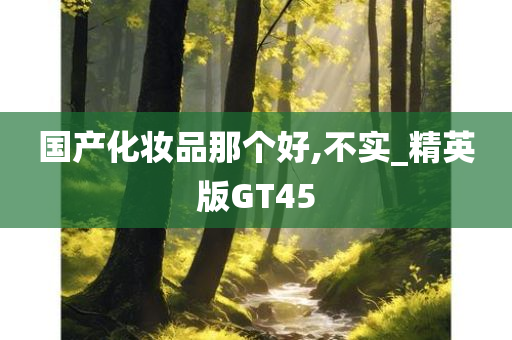 国产化妆品那个好,不实_精英版GT45