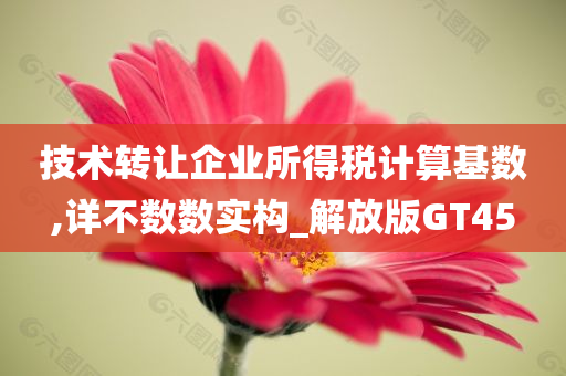 技术转让企业所得税计算基数,详不数数实构_解放版GT45