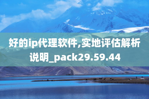 好的ip代理软件,实地评估解析说明_pack29.59.44