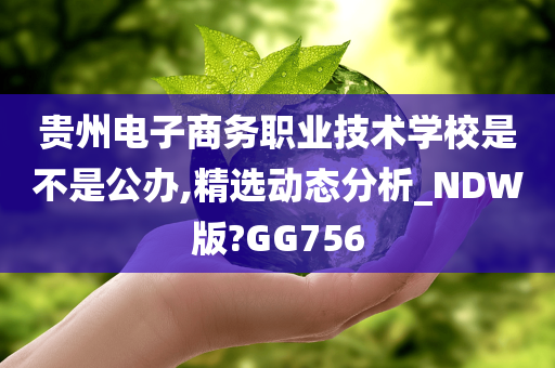 贵州电子商务职业技术学校是不是公办,精选动态分析_NDW版?GG756