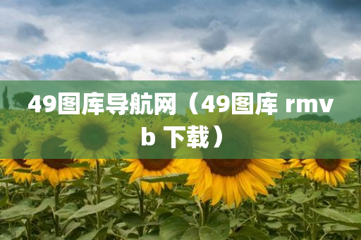 49图库导航网（49图库 rmvb 下载）