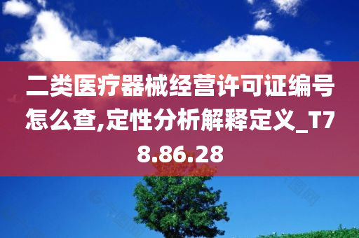 二类医疗器械经营许可证编号怎么查,定性分析解释定义_T78.86.28