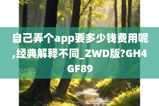 自己弄个app要多少钱费用呢,经典解释不同_ZWD版?GH4GF89