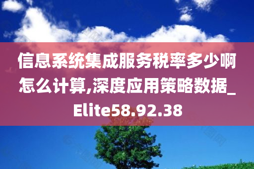 信息系统集成服务税率多少啊怎么计算,深度应用策略数据_Elite58.92.38