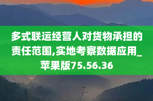 多式联运经营人对货物承担的责任范围,实地考察数据应用_苹果版75.56.36