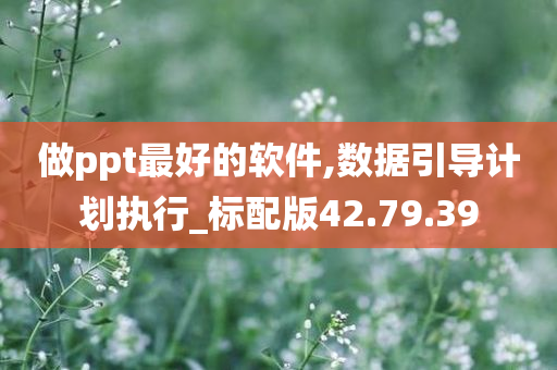 做ppt最好的软件,数据引导计划执行_标配版42.79.39