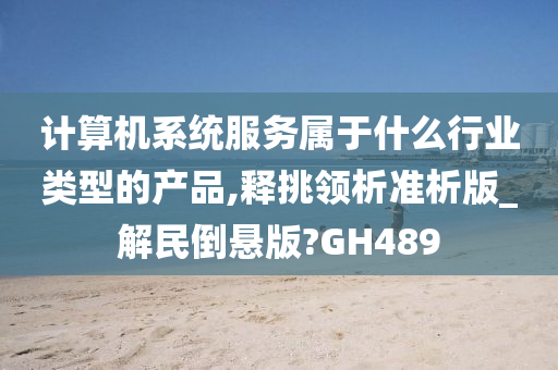 计算机系统服务属于什么行业类型的产品,释挑领析准析版_解民倒悬版?GH489