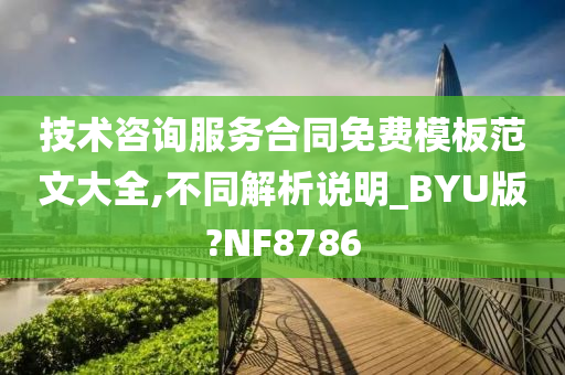 技术咨询服务合同免费模板范文大全,不同解析说明_BYU版?NF8786