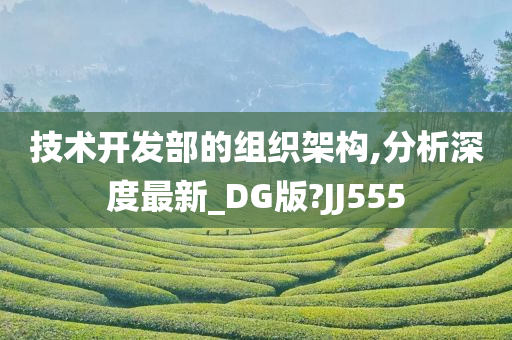 技术开发部的组织架构,分析深度最新_DG版?JJ555