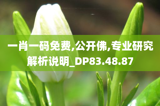 一肖一码免费,公开佛,专业研究解析说明_DP83.48.87