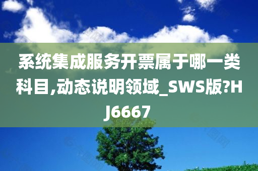 系统集成服务开票属于哪一类科目,动态说明领域_SWS版?HJ6667