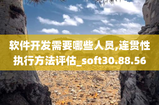 软件开发需要哪些人员,连贯性执行方法评估_soft30.88.56