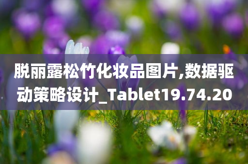 脱丽露松竹化妆品图片,数据驱动策略设计_Tablet19.74.20