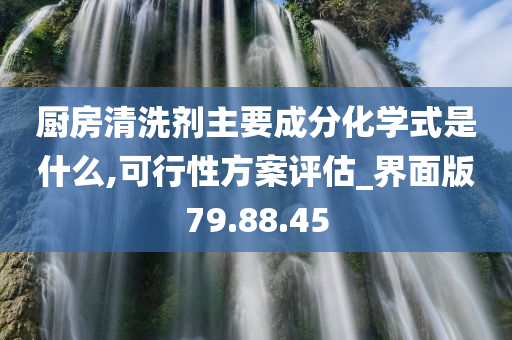 厨房清洗剂主要成分化学式是什么,可行性方案评估_界面版79.88.45