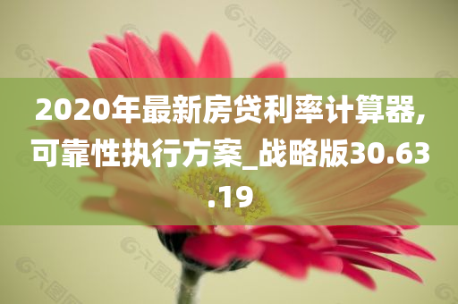 2020年最新房贷利率计算器,可靠性执行方案_战略版30.63.19