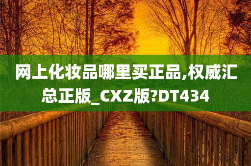 网上化妆品哪里买正品,权威汇总正版_CXZ版?DT434