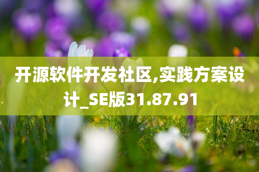 开源软件开发社区,实践方案设计_SE版31.87.91